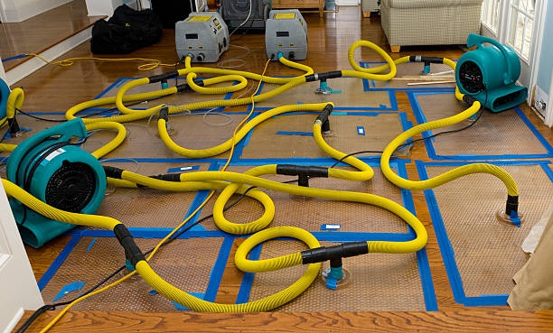 Professional Emergency Water Removal technician working in Forney, TX