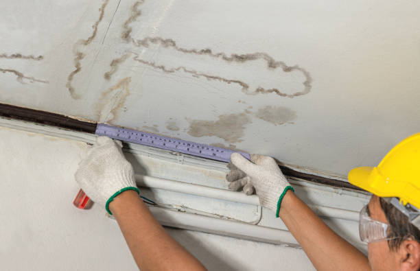Affordable Water Damage Repair solutions in Forney, TX